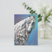 Andalusiaans Briefkaart (Staand voorkant)