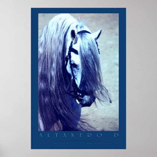 Andalusiaans Poster (Voorkant)