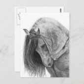 Andalusië Briefkaart (Voorkant / Achterkant)