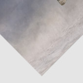 Andalusië Gray Horse apple Tissuepapier (Detail)