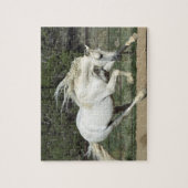 Andalusië Stallion onderweg, PR Legpuzzel (Verticaal)