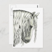 Andalusië True Romantic Horse Briefkaart (Voorkant / Achterkant)