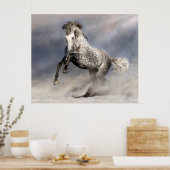 Andalusisch appelgrijs paard in beweging poster (Keuken)