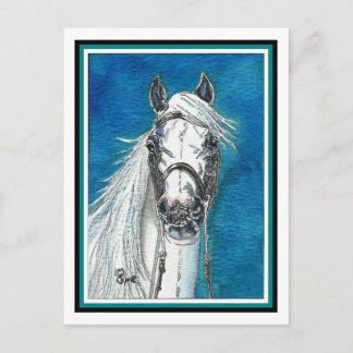 Andalusische paardenkunst Briefkaart