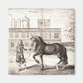 Andalusische PRE Paard Gravure Fine Art Magneet (Voorkant)