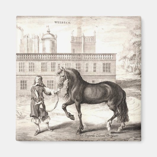 Andalusische PRE Paard Gravure Fine Art Magneet (Voorkant)