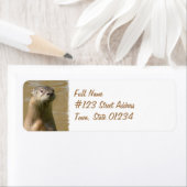 Ander retouradres-label etiket (Insitu)