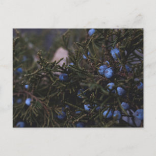 "Andere blauwe werelden" Briefkaart