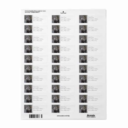 Andere Mastermind Adresetiketten Etiket (Full Sheet)
