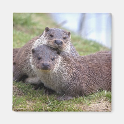 Anders verliefd magneet (Voorkant)