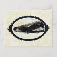 Anders Zorn, het weduwe Briefkaart