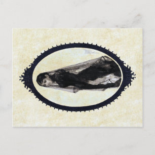 Anders Zorn, het weduwe Briefkaart