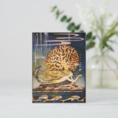 Andersen: Kleine Zeemeermin tekening Briefkaart (Staand voorkant)