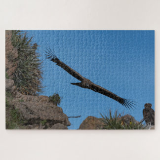 Andes condor in Colca Canyon, Peru Legpuzzel