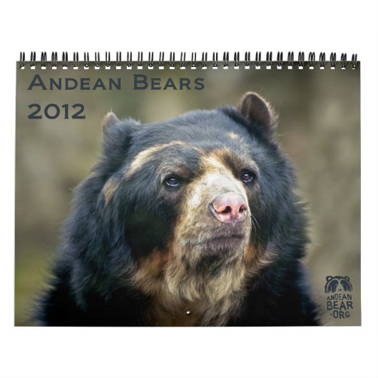 AndesBeren 2012 - kalender met 15 maanden (Hoes)