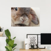 Andorra de bunny: Stare Poster (Thuiskantoor)