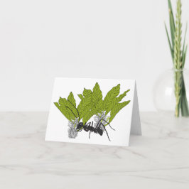 Andrew de mier kaart