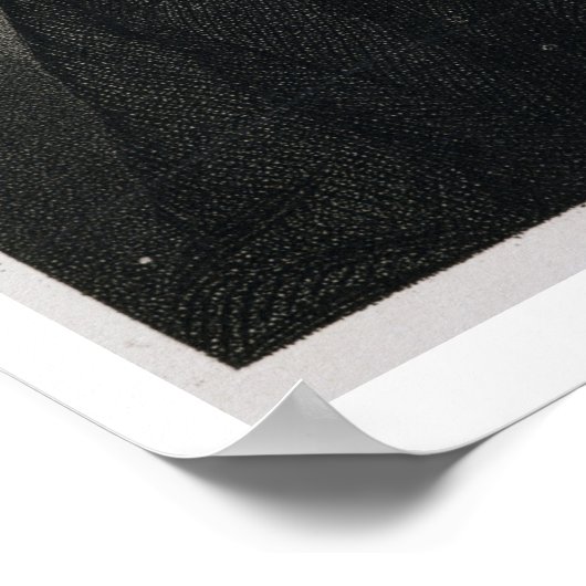 Andrew Jackson (graving) Poster (Hoek)