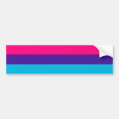 Androgyne Pride Bumpersticker (Voorkant)