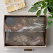 Andromeda door Arthur Rackham Tissuepapier (Geschenk)