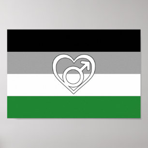 Androphilia Pride-vlag en symbool Poster