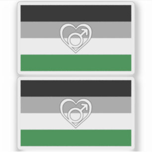 Androphilia Pride-vlag en symbool Sticker