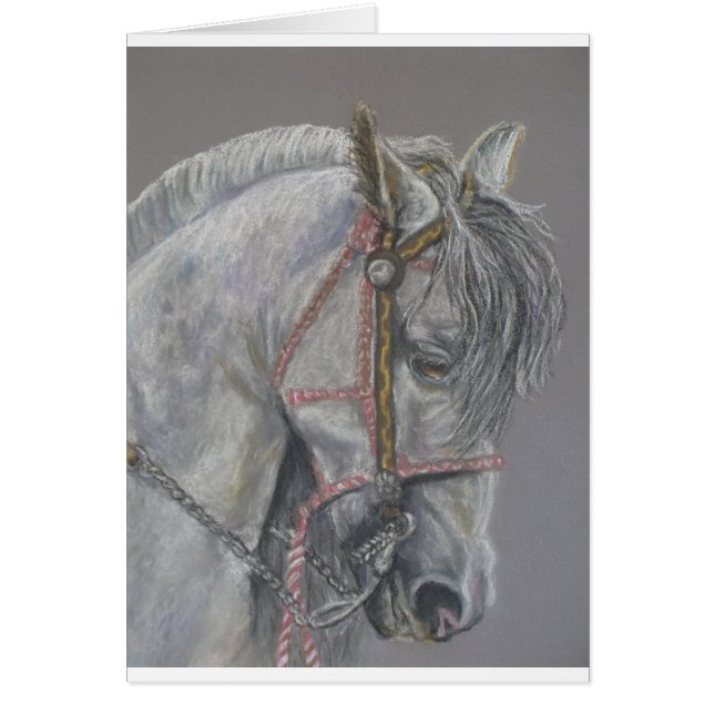 Andualusiaanse paardenkaart (Voorkant)