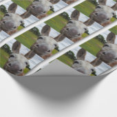 Andy Cadeaupapier (Hoek)