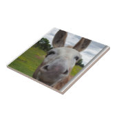 Andy Tegeltje (Zijkant)