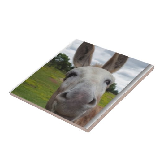 Andy Tegeltje (Zijkant)