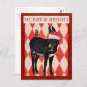 ÂNE d'INDIGO et carte postale CARDINALE de NOËL (Devant / Derrière)