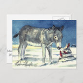 Âne pour la carte postale de Noël (Devant / Derrière)