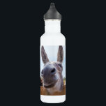 Âne souriant avec une bouteille d'eau silly Grin<br><div class="desc">Cet âne amical cherche un cadeau ou peut-être une égratignure derrière l'oreille. Sa curiosité l'a conduit à trouver mon appareil photo en le regardant. Son sourire dit tout. Rien à craindre. Que vous aimiez les ânes, les démocrates, ou que vous vous moquiez des ânes ou des démocrates, ce pourrait être...</div>