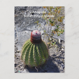 Anegada BVI Briefkaart