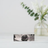 Anemone 1 Floral Photographie Cartes de visite (Debout devant)