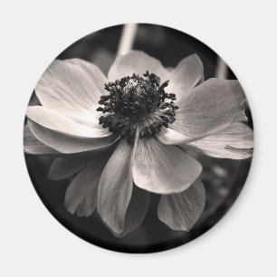 Anemone Black White Photography Round Magnet Magneet