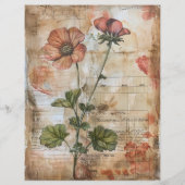 Anemone Bloem Oud Manuscript Briefhoofd (Achterkant)