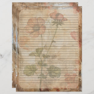 Anemone Bloem Oud Manuscript Briefhoofd