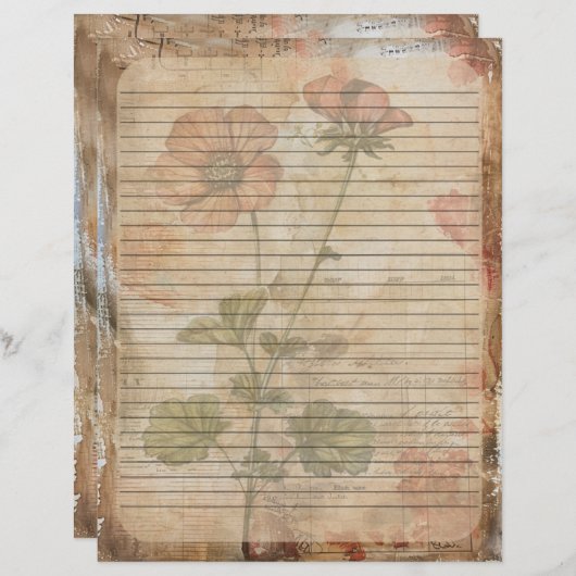 Anemone Bloem Oud Manuscript Briefhoofd (Voorkant / Achterkant)