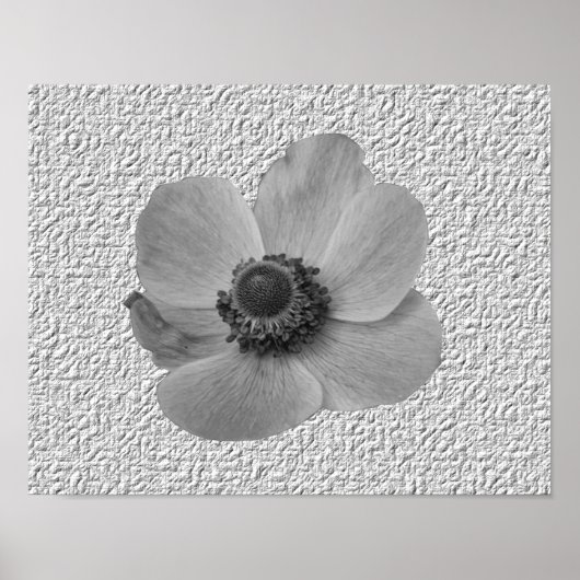 Anemone Bloem Vintage Print (Voorkant)