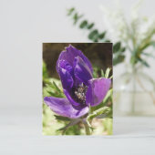 Anemone Briefkaart (Staand voorkant)