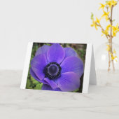 Anémone, carte (Fleur jaune)