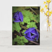 Anémone, carte (Fleur jaune)