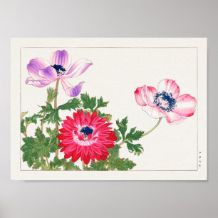 Anemone coronaria door Tanigami Konan Poster