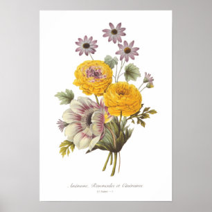 Anemone en Ranunculus Poster
