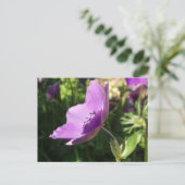 Anemone Garden Poscard Briefkaart (Staand voorkant)