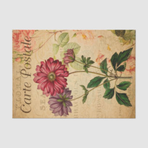  Anemone Japonica Floral Flowers Franse Tissuepapier