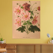 Anemone Japonica Rosea Exquisite Botanical Canvas Afdruk (Insitu (Woonkamer))