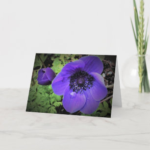 Anemone, kaart