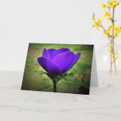 Anemone, kaart (Gele Bloem)